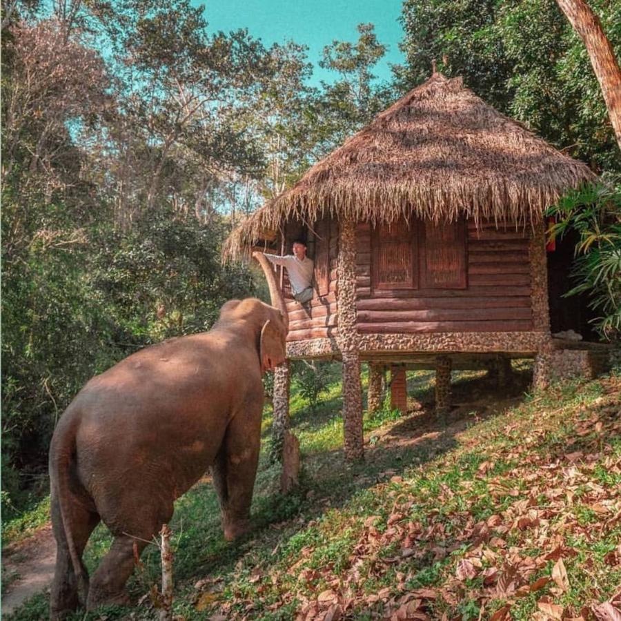 The Chai Lai Orchid Hotel Chiang Mai Buitenkant foto