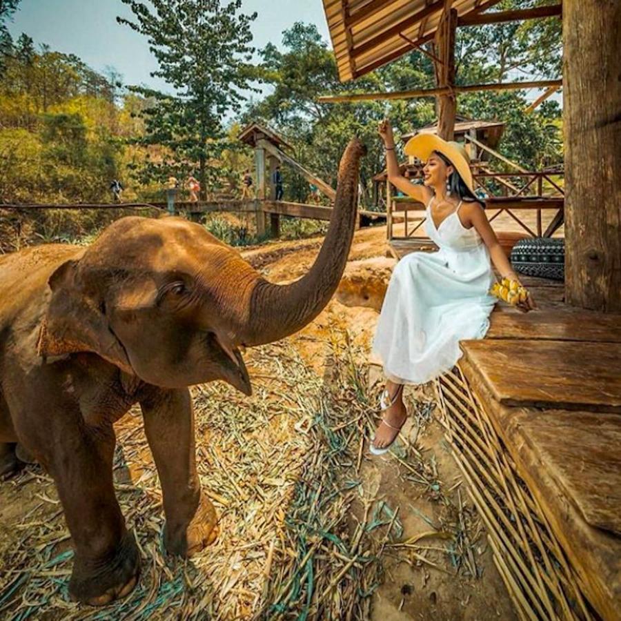 The Chai Lai Orchid Hotel Chiang Mai Buitenkant foto